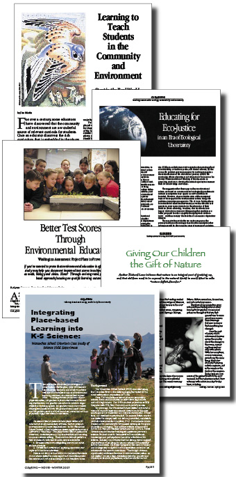 articles