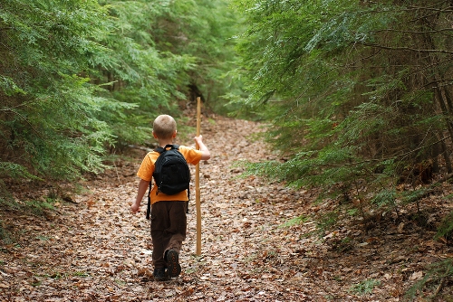 boy_woods1 boy_woods1